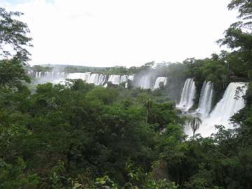 IguazuArg (132)