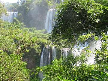 IguazuArg (293)