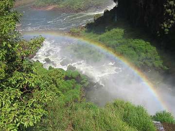 IguazuArg (308)