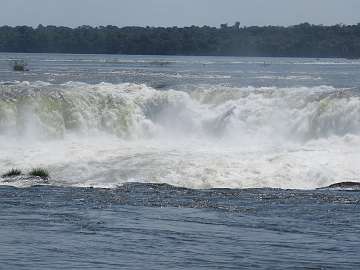 IguazuArg (55)