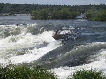 IguazuArg (72)