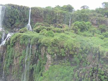 IguazuBr (122)