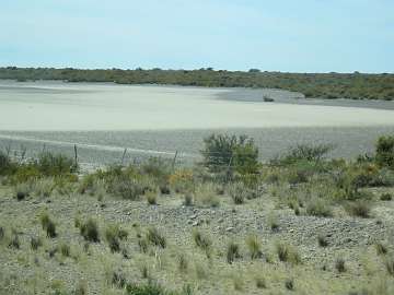 Puerto Madryn (19)