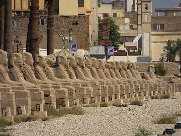 Luxor2 (286)