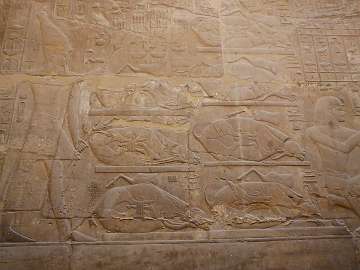 Luxor2 (376)