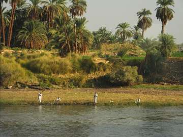 TheNile (127)