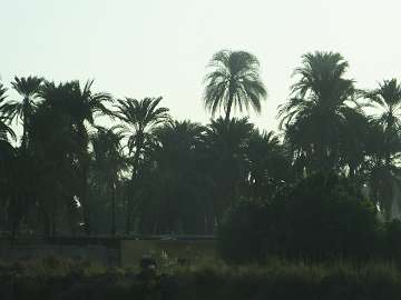 TheNile (5)