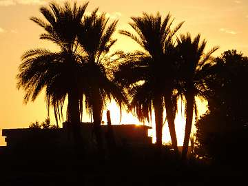 SunsetLuxor (68)