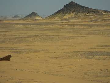 Sahara (1)