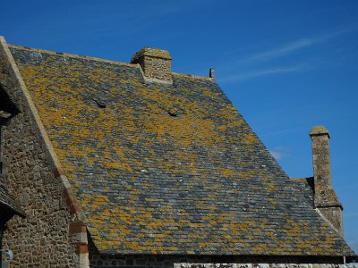 Mont-Saint-Michel (82)