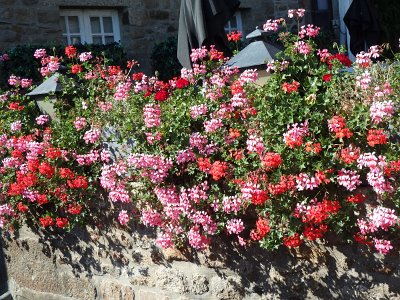 Mont-Saint-Michel (85)