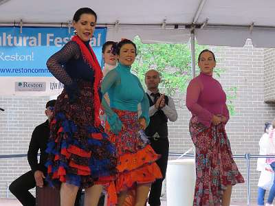 Flamenco (353)