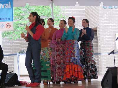 Flamenco (9)