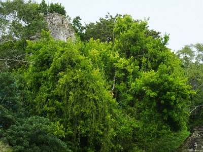 Dec18 Mayan city of Tikal (146)