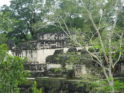 Dec18 Mayan city of Tikal (166)