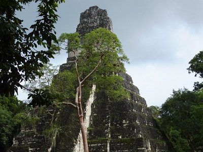 Dec18 Mayan city of Tikal (177)