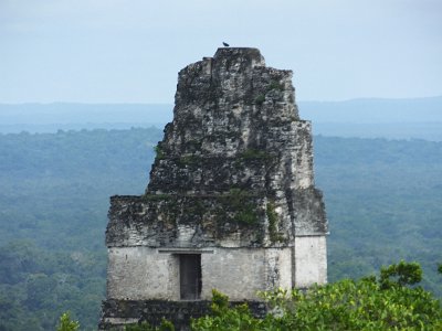 Dec18 Mayan city of Tikal (228)