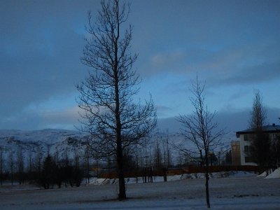 Iceland21Jan24 (2)