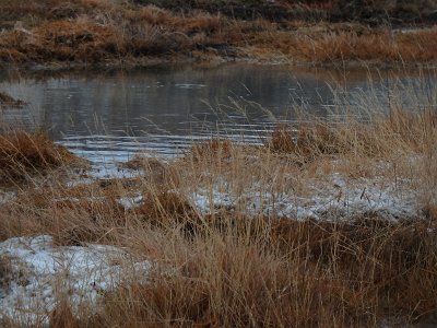 Iceland23Jan24 (151)