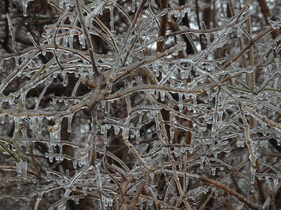 icicles22 (34)