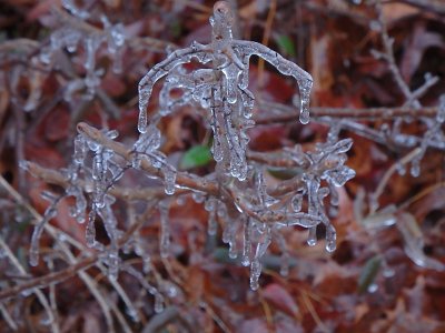 icicles22 (77)