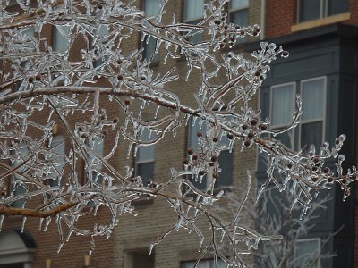 icicles22a (12)