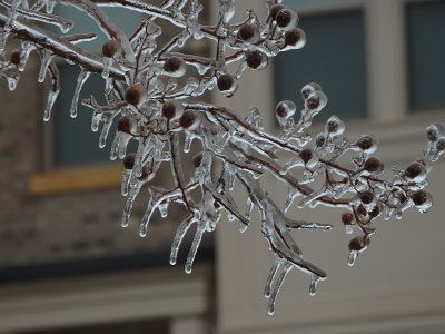 icicles22a (14)