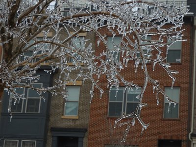 icicles22a (18)