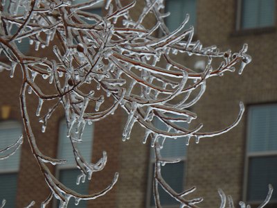 icicles22a (19)