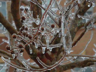 icicles22a (20)