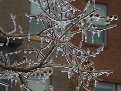 icicles22a (22)