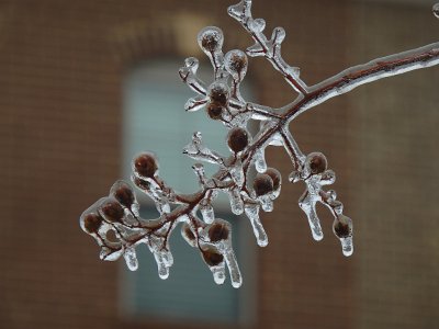 icicles22a (34)