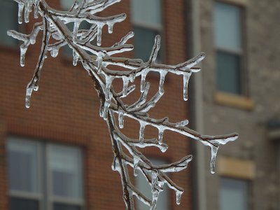 icicles22a (36)