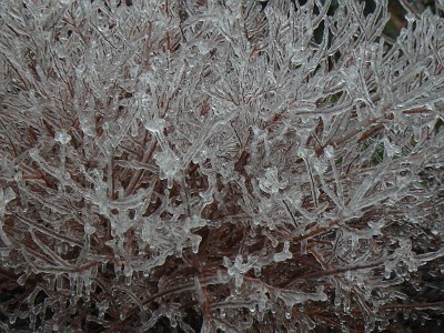 icicles22a (5)