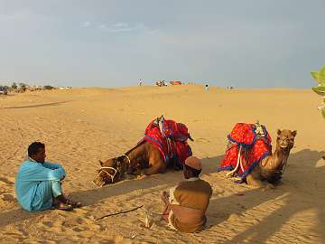 jaisalmer (355)