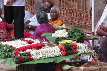 Meenakshi (1)