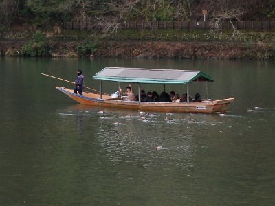 BambooForest (57)