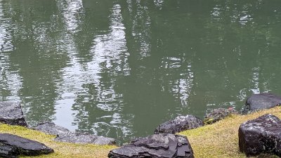 Japan24pix (649)