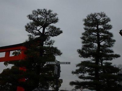 Fushimi Inari (104)