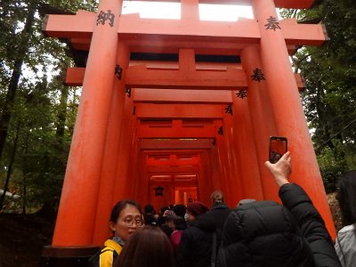 Fushimi Inari (26)