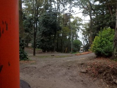 Fushimi Inari (29)