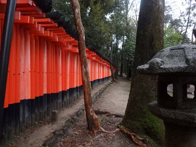 Fushimi Inari (31)