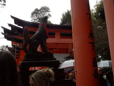 Fushimi Inari (32)