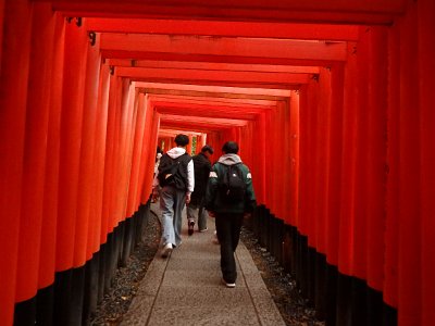 Fushimi Inari (35)