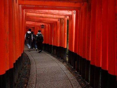 Fushimi Inari (36)