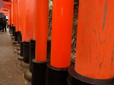 Fushimi Inari (40)