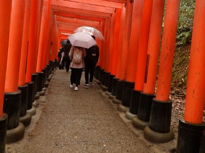 Fushimi Inari (41)