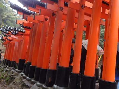 Fushimi Inari (42)