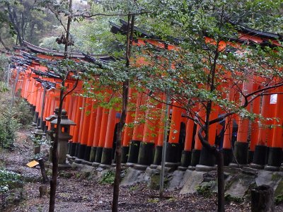 Fushimi Inari (43)