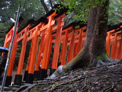 Fushimi Inari (45)